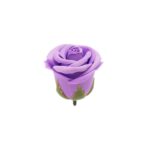 Midnight Magic Paaride Komplekt