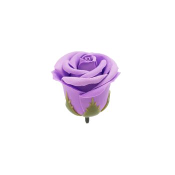 My Delight Kit (Copy)